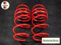 Jeep Renegade Lowering Springs - MADNESS 