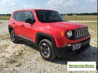 Jeep Renegade License Plate Mount - Platypus